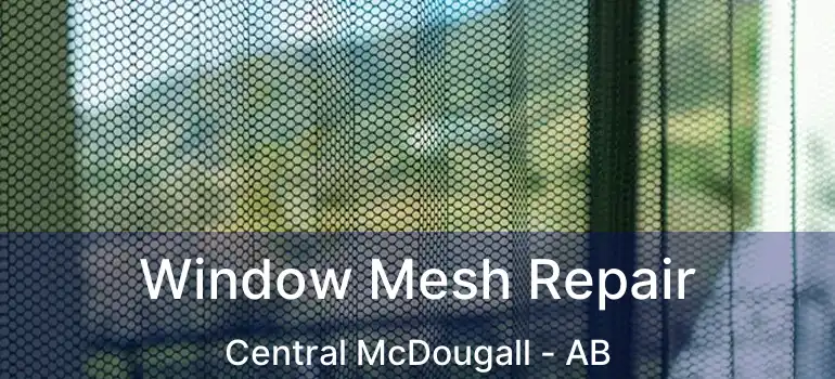  Window Mesh Repair Central McDougall - AB
