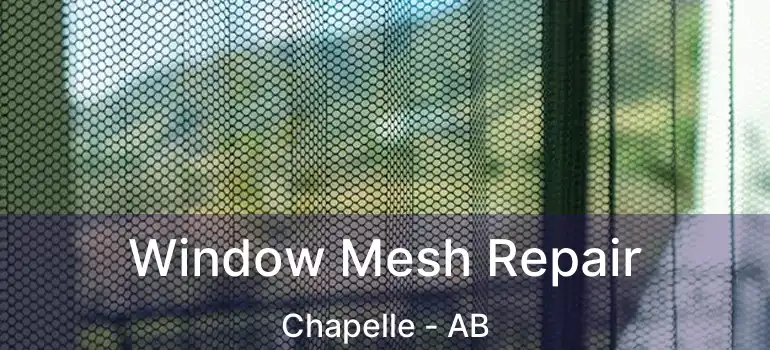  Window Mesh Repair Chapelle - AB