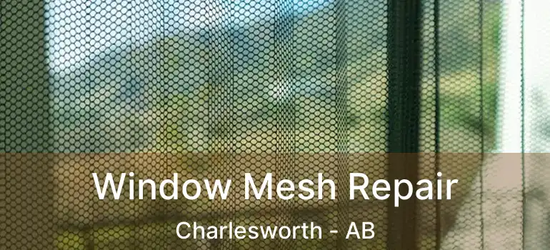  Window Mesh Repair Charlesworth - AB