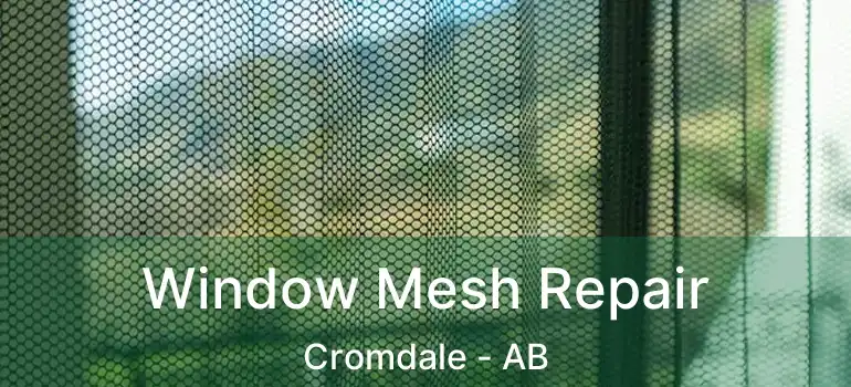  Window Mesh Repair Cromdale - AB