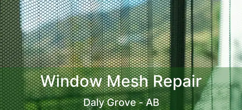  Window Mesh Repair Daly Grove - AB