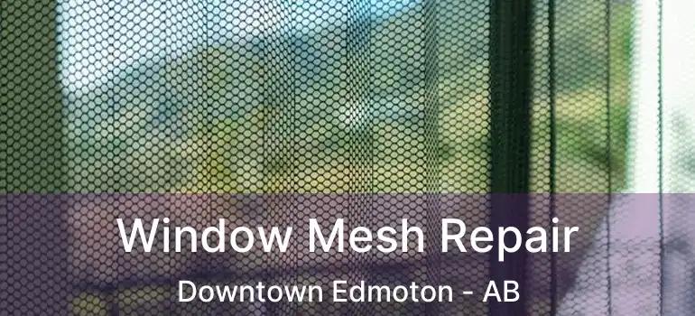  Window Mesh Repair Downtown Edmoton - AB
