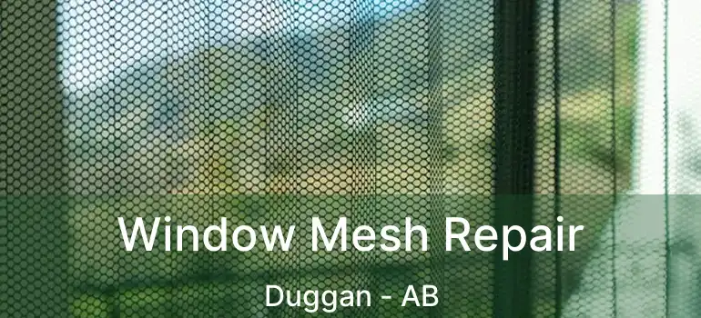  Window Mesh Repair Duggan - AB