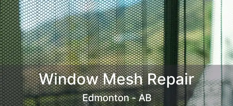  Window Mesh Repair Edmonton - AB