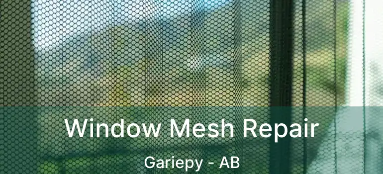  Window Mesh Repair Gariepy - AB