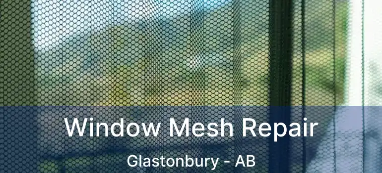  Window Mesh Repair Glastonbury - AB