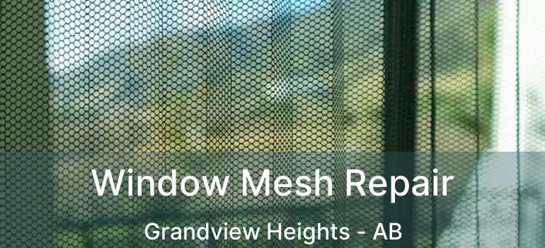  Window Mesh Repair Grandview Heights - AB
