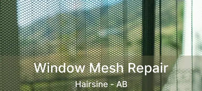 Window Mesh Repair Hairsine - AB