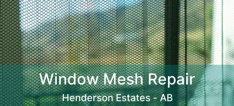  Window Mesh Repair Henderson Estates - AB
