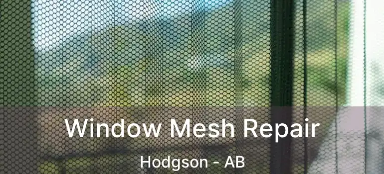  Window Mesh Repair Hodgson - AB