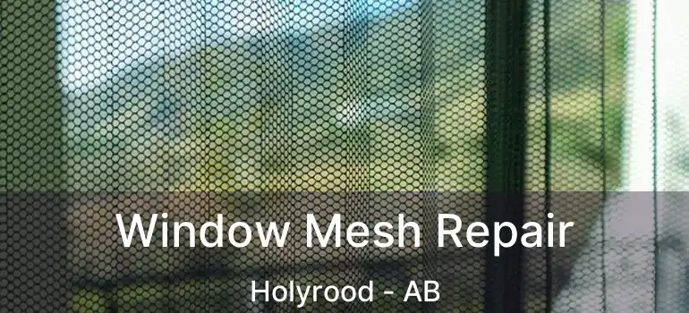  Window Mesh Repair Holyrood - AB