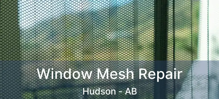  Window Mesh Repair Hudson - AB