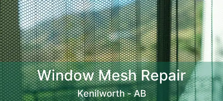  Window Mesh Repair Kenilworth - AB