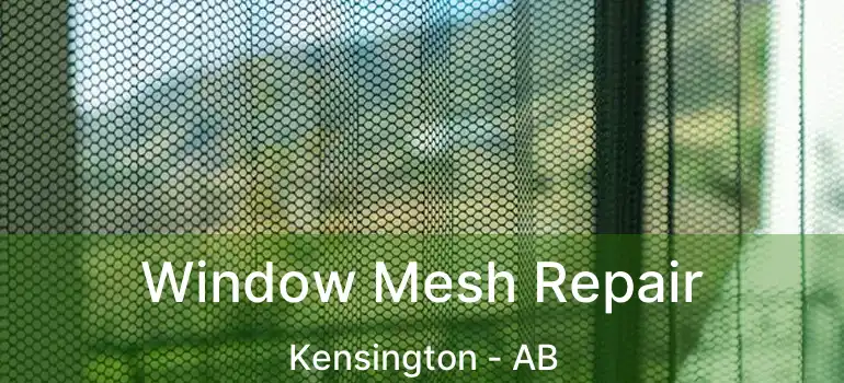 Window Mesh Repair Kensington - AB