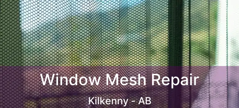  Window Mesh Repair Kilkenny - AB