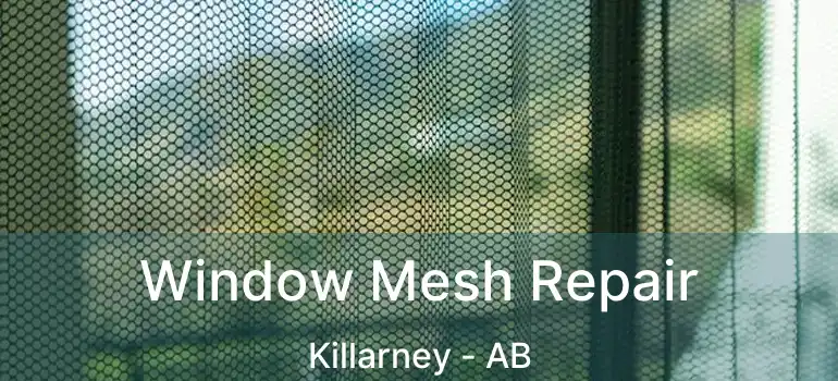  Window Mesh Repair Killarney - AB