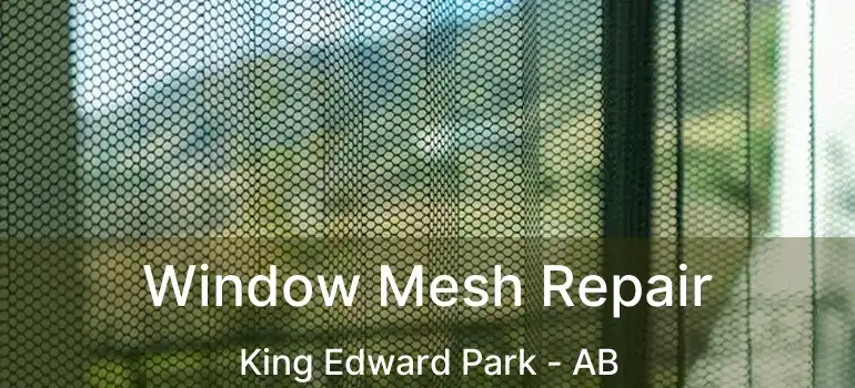  Window Mesh Repair King Edward Park - AB