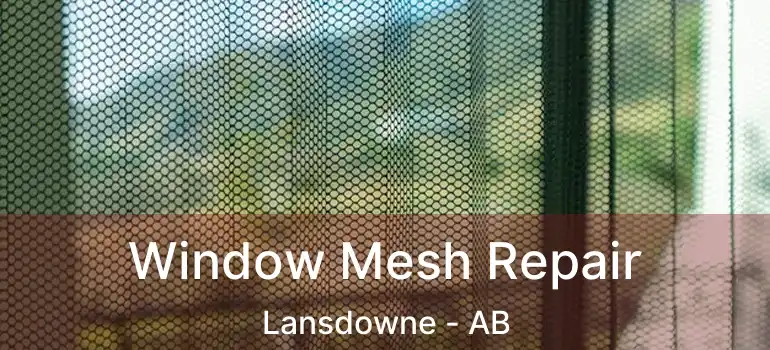  Window Mesh Repair Lansdowne - AB