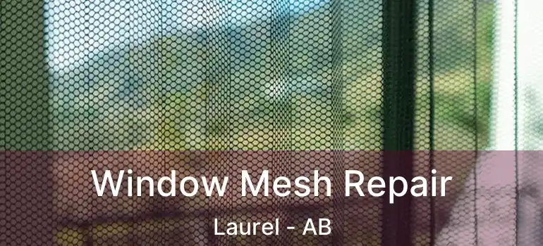  Window Mesh Repair Laurel - AB