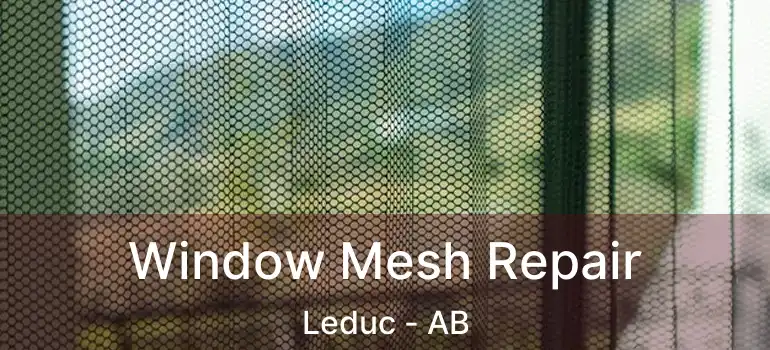  Window Mesh Repair Leduc - AB