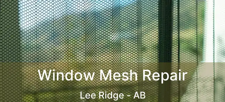  Window Mesh Repair Lee Ridge - AB
