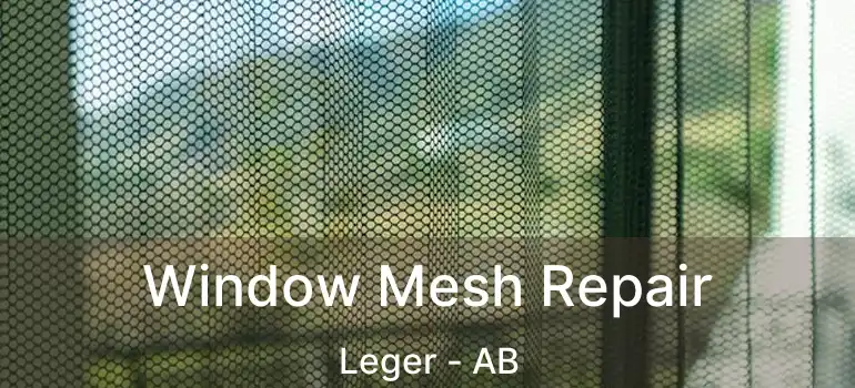  Window Mesh Repair Leger - AB