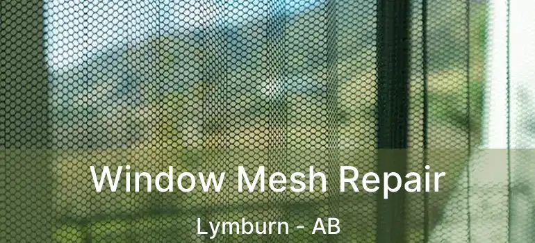  Window Mesh Repair Lymburn - AB