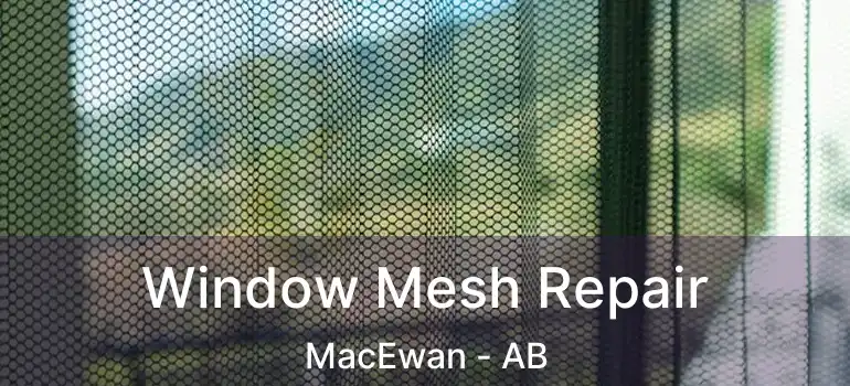  Window Mesh Repair MacEwan - AB