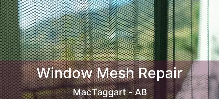  Window Mesh Repair MacTaggart - AB