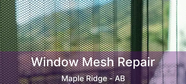  Window Mesh Repair Maple Ridge - AB