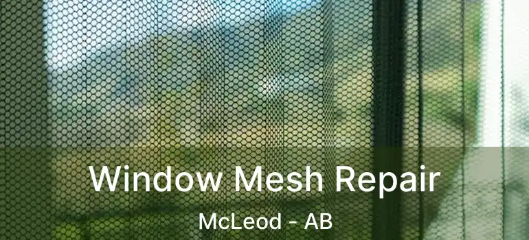  Window Mesh Repair McLeod - AB