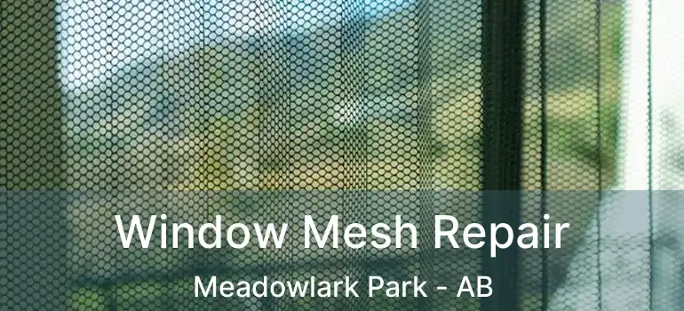 Window Mesh Repair Meadowlark Park - AB