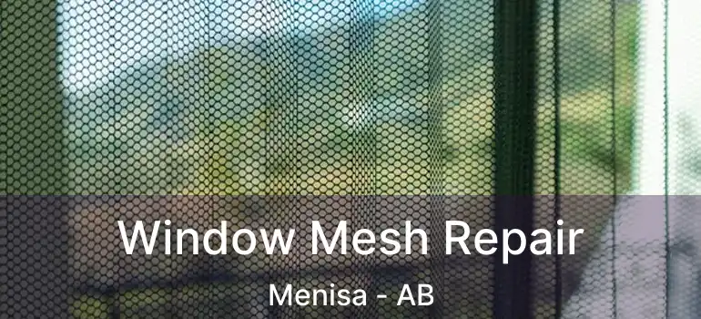  Window Mesh Repair Menisa - AB