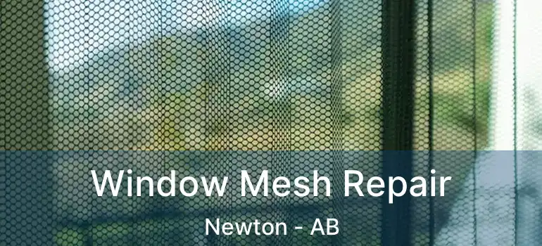  Window Mesh Repair Newton - AB