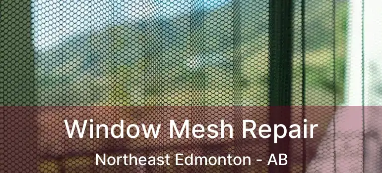  Window Mesh Repair Northeast Edmonton - AB
