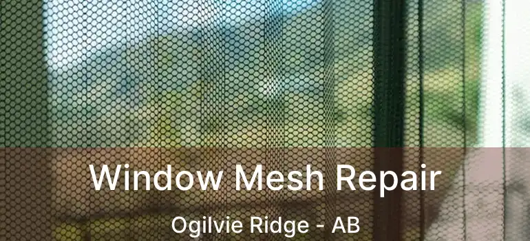  Window Mesh Repair Ogilvie Ridge - AB