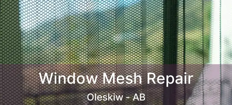  Window Mesh Repair Oleskiw - AB