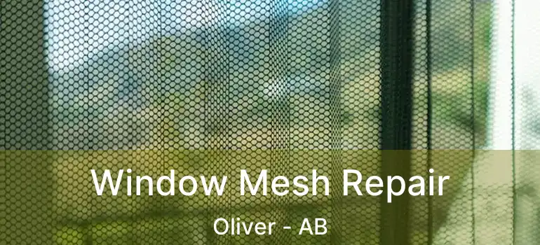 Window Mesh Repair Oliver - AB