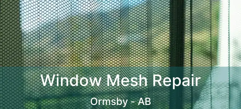  Window Mesh Repair Ormsby - AB