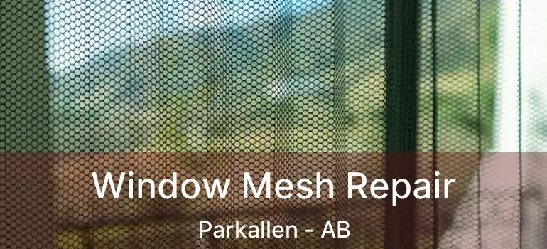  Window Mesh Repair Parkallen - AB