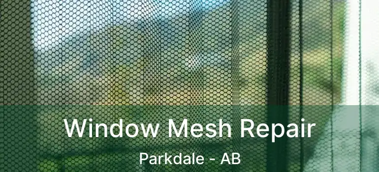 Window Mesh Repair Parkdale - AB