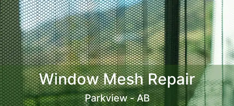  Window Mesh Repair Parkview - AB