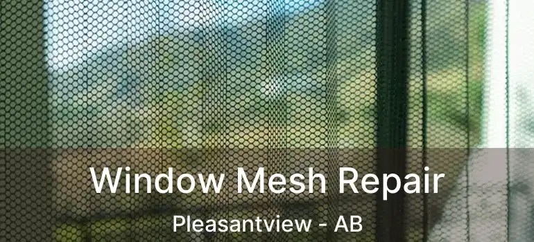  Window Mesh Repair Pleasantview - AB