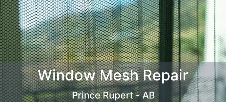  Window Mesh Repair Prince Rupert - AB