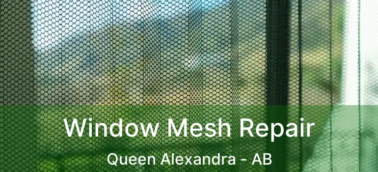  Window Mesh Repair Queen Alexandra - AB