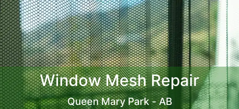  Window Mesh Repair Queen Mary Park - AB