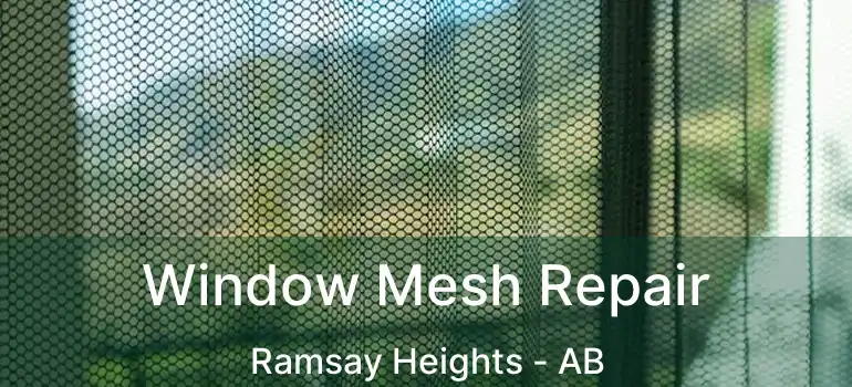  Window Mesh Repair Ramsay Heights - AB