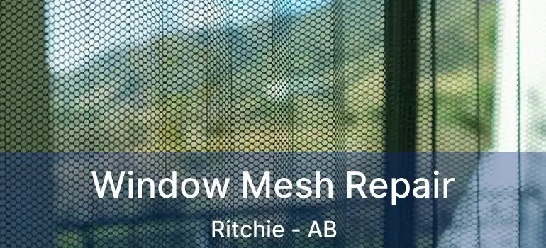  Window Mesh Repair Ritchie - AB