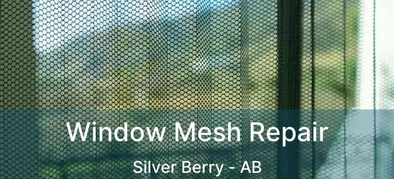  Window Mesh Repair Silver Berry - AB
