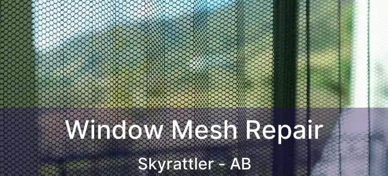  Window Mesh Repair Skyrattler - AB